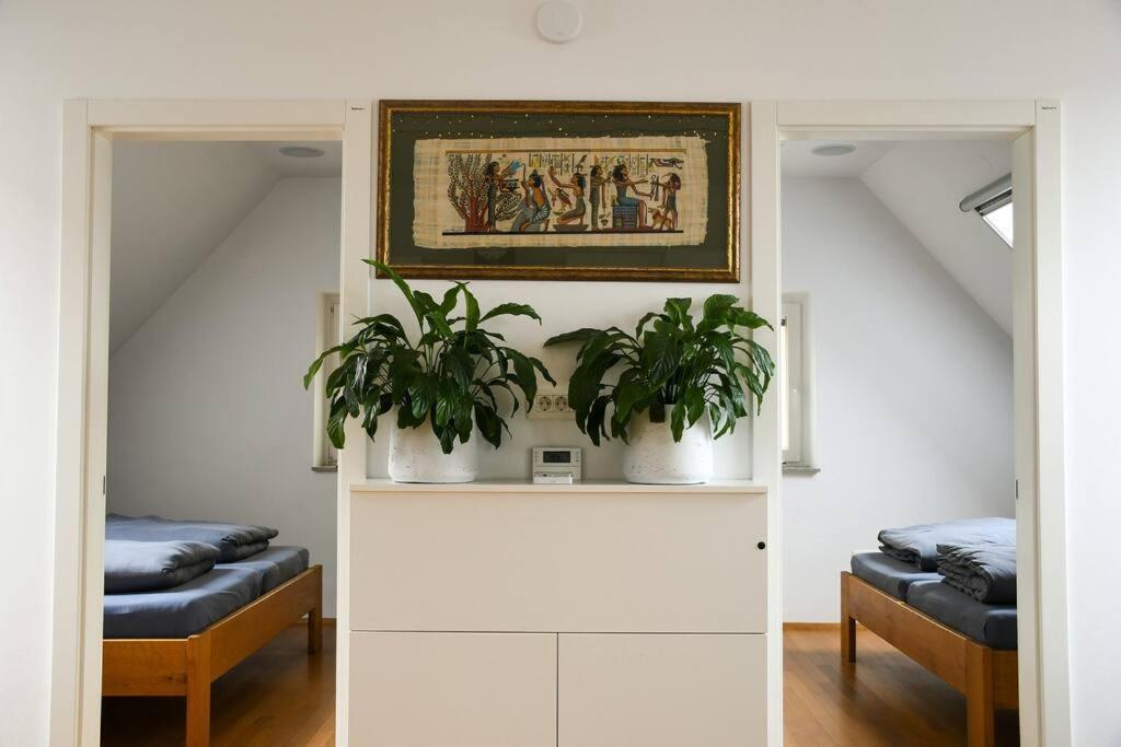 Stairway To Ljubljana Apartment 외부 사진