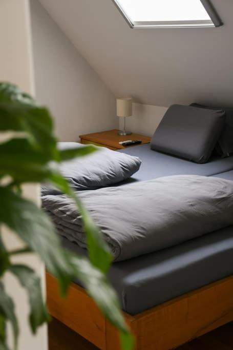 Stairway To Ljubljana Apartment 외부 사진